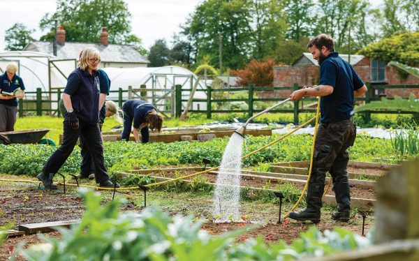 RHS Advanced Certificate In Practical Horticulture