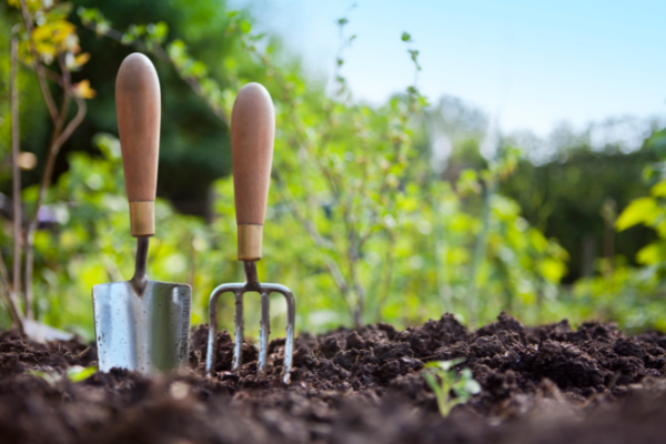 Gardening Courses