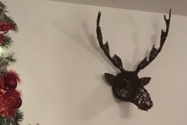 Create a Willow Stags Head Workshop