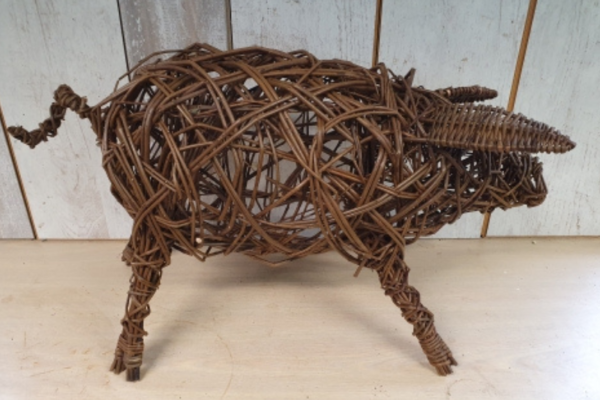 Create a Willow Pig Workshop